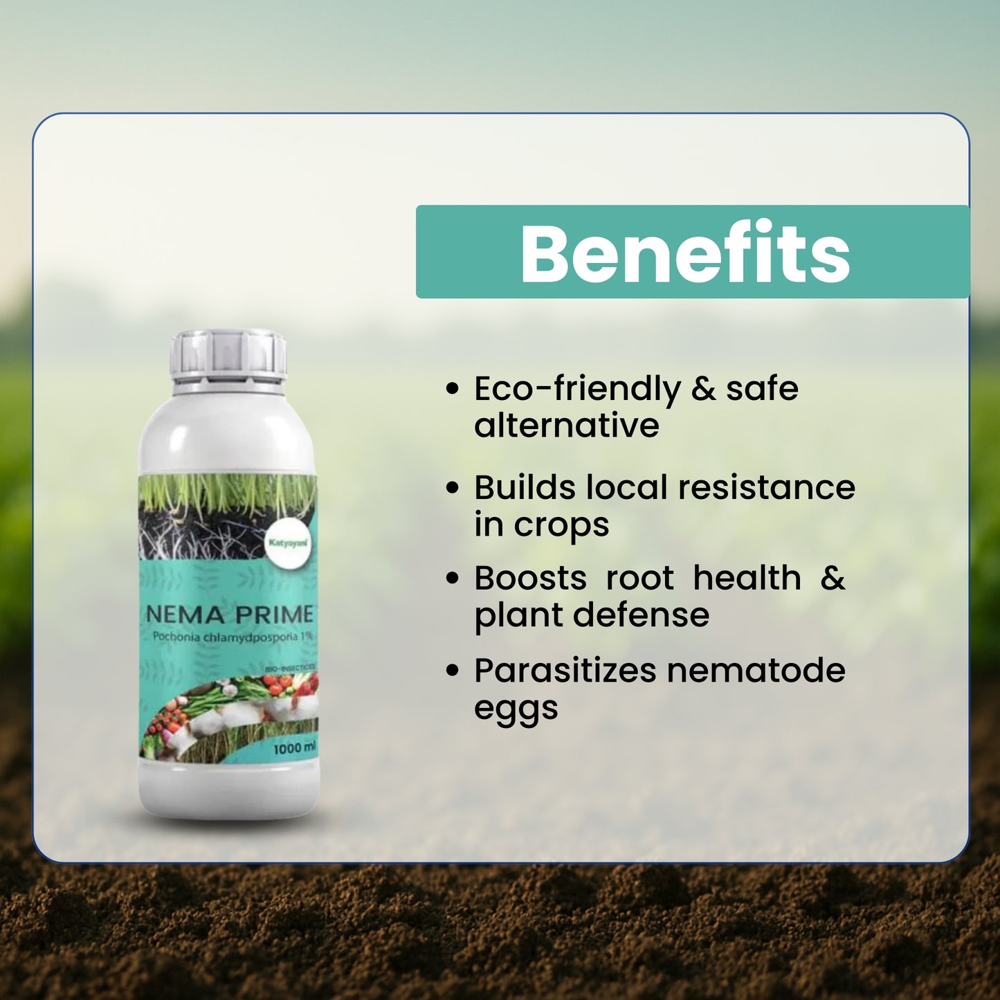 GGV KATYAYANI NEMA PRIME (Pochonia chlamydposporia 1%) BIO PESTICIDE LIQUID