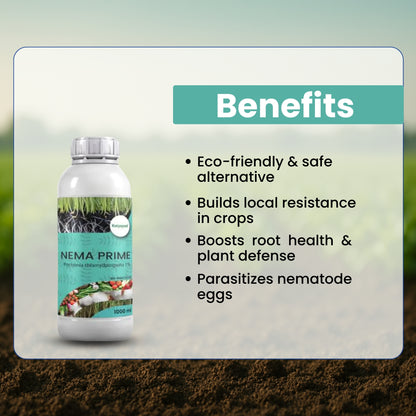 GGV KATYAYANI NEMA PRIME (Pochonia chlamydposporia 1%) BIO PESTICIDE LIQUID
