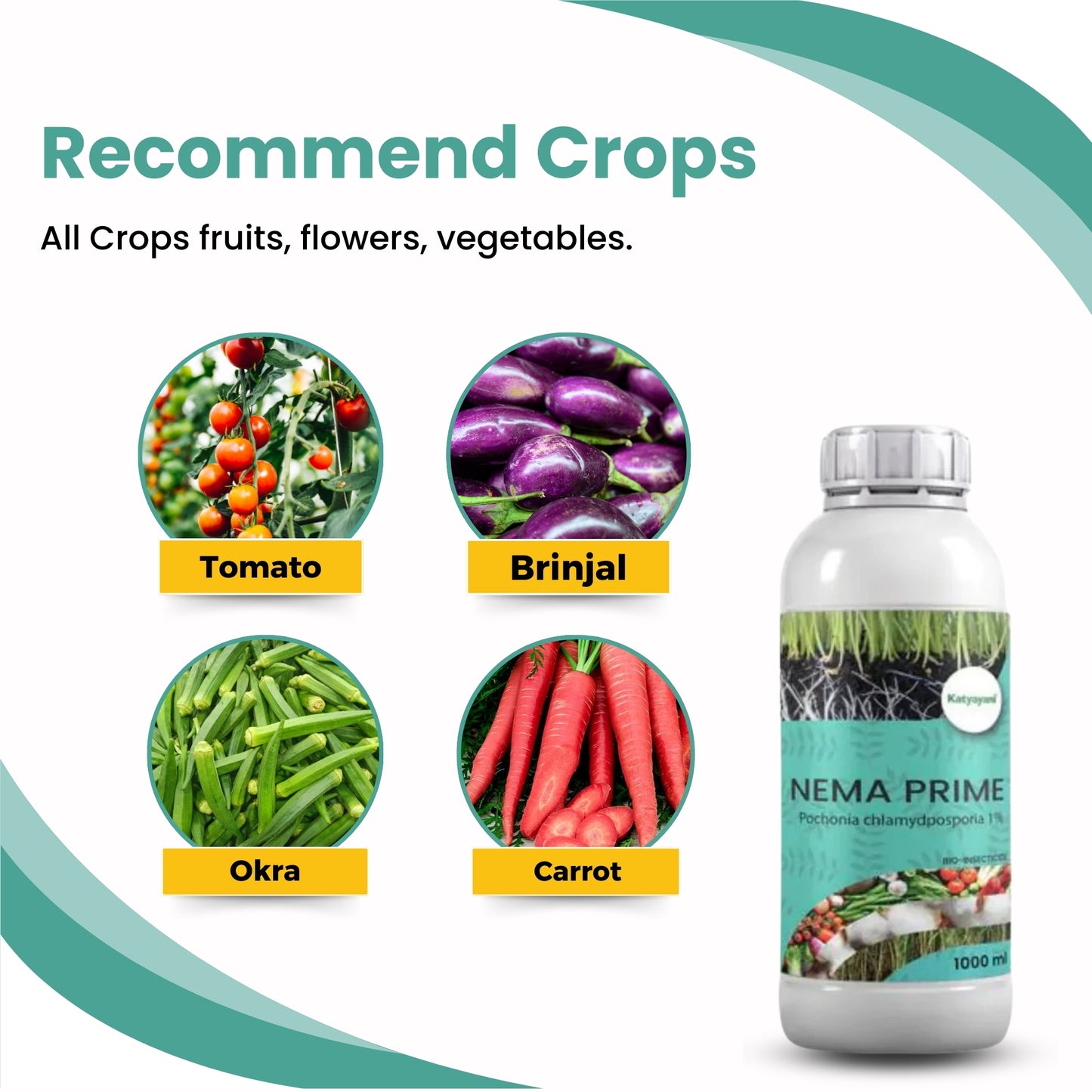 GGV KATYAYANI NEMA PRIME (Pochonia chlamydposporia 1%) BIO PESTICIDE LIQUID