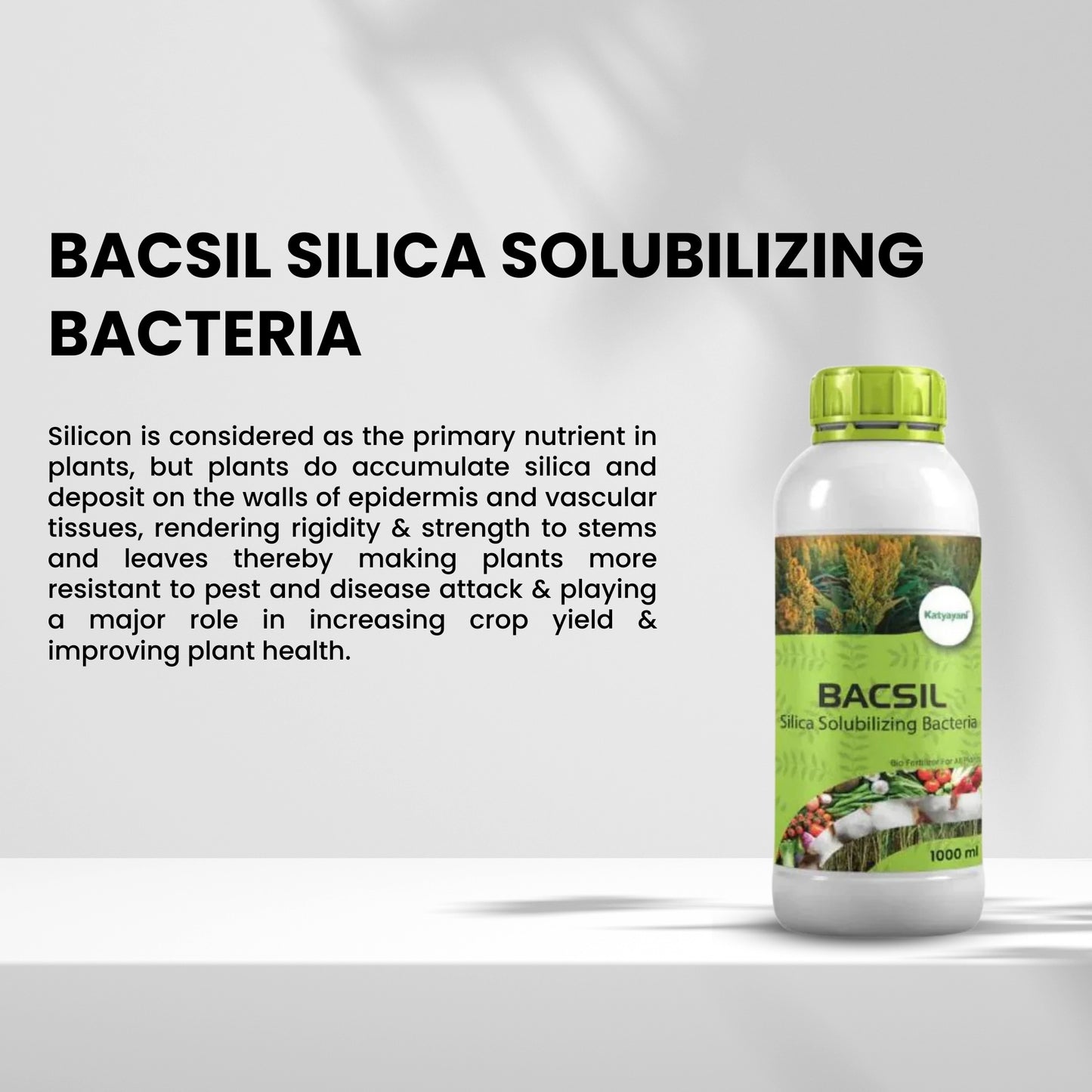 GGV BACSIL - SILICA SOLUBILIZING BACTERIA