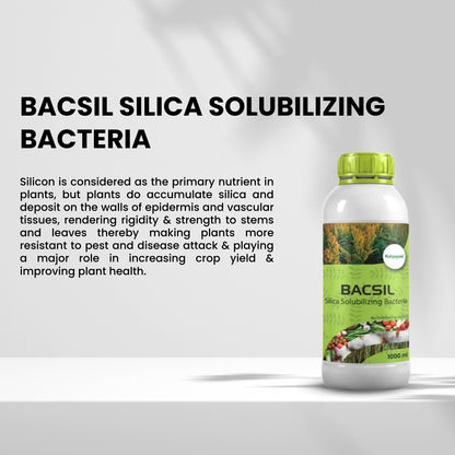 GGV BACSIL - SILICA SOLUBILIZING BACTERIA