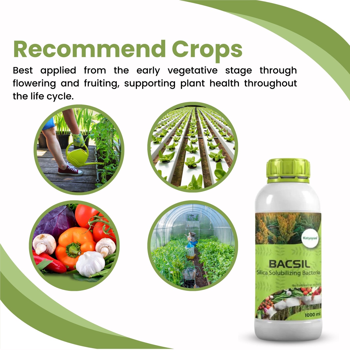 GGV BACSIL - SILICA SOLUBILIZING BACTERIA