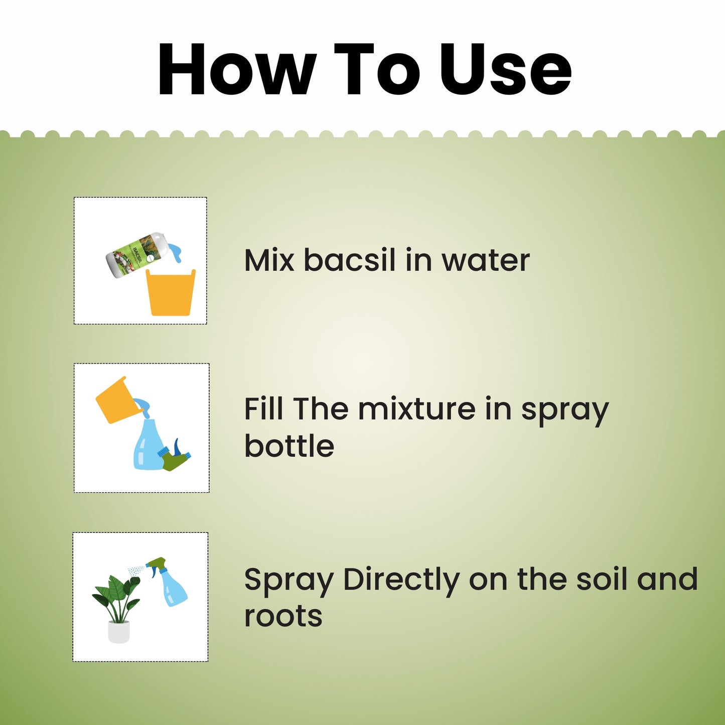 GGV BACSIL - SILICA SOLUBILIZING BACTERIA