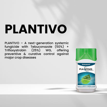 GGV  – PLANTIVO (Tebuconazole 50% + Trifloxystrobin 25% WG)