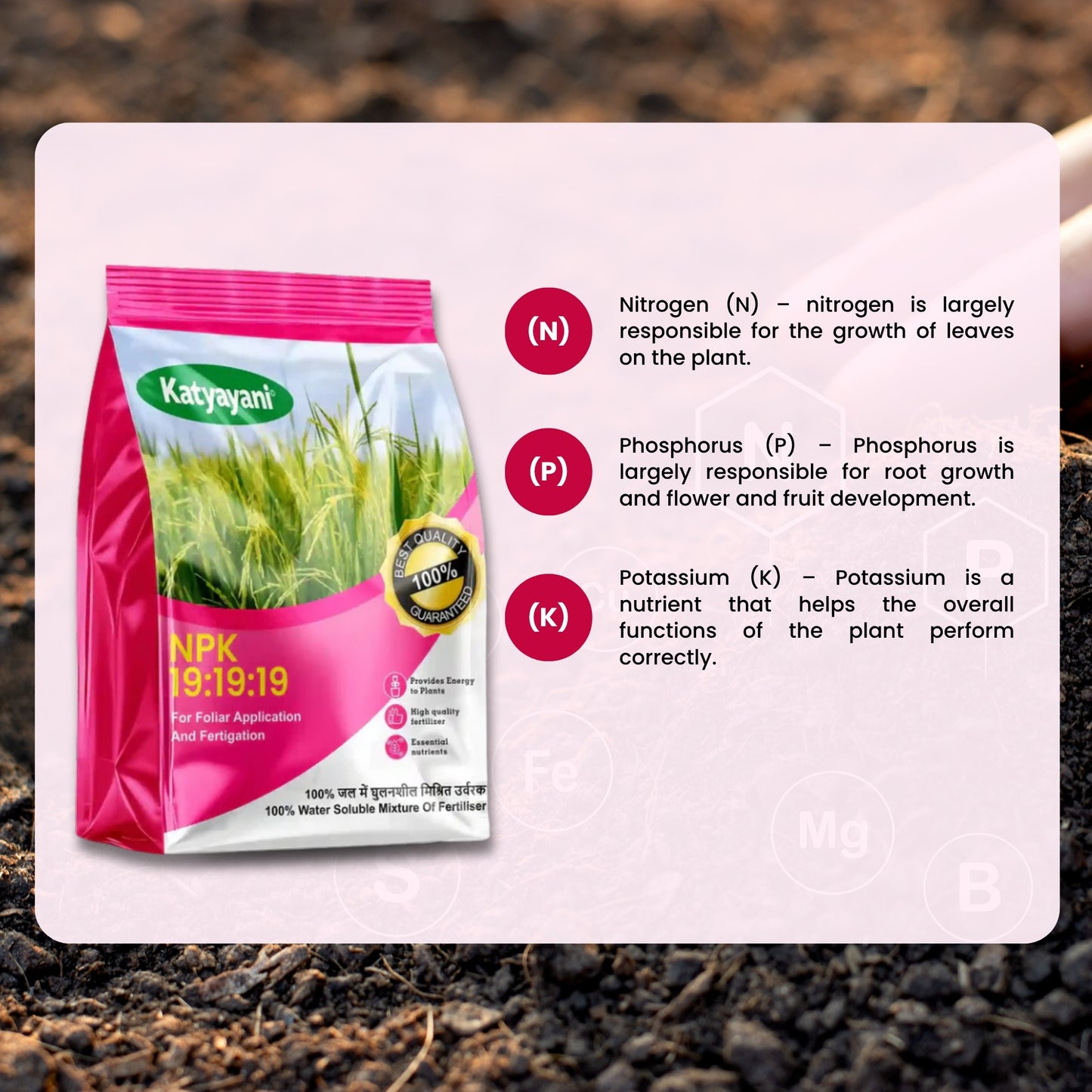 NPK 19-19-19 Water Soluble Fertilizer for Plants – Fast Growth & All-in-One Nutrition | Available in UAE