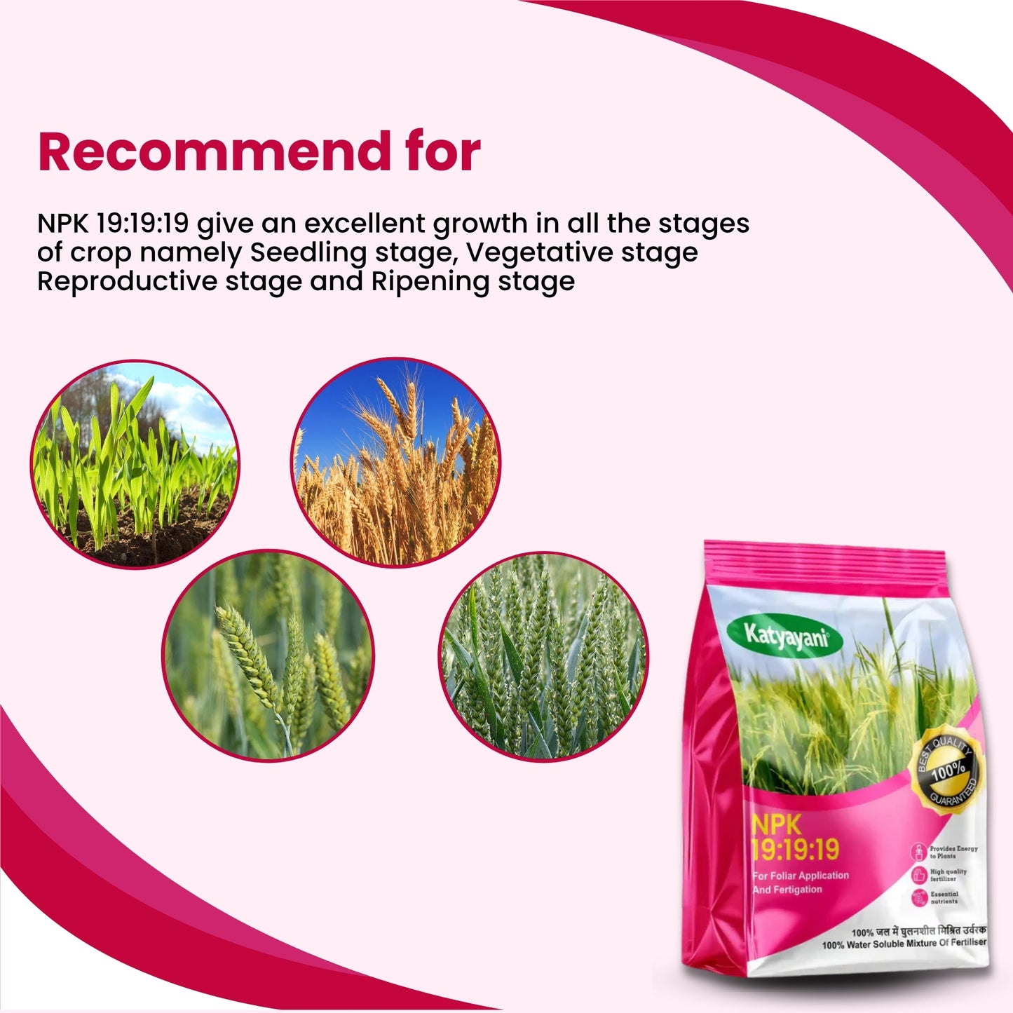 NPK 19-19-19 Water Soluble Fertilizer for Plants – Fast Growth & All-in-One Nutrition | Available in UAE