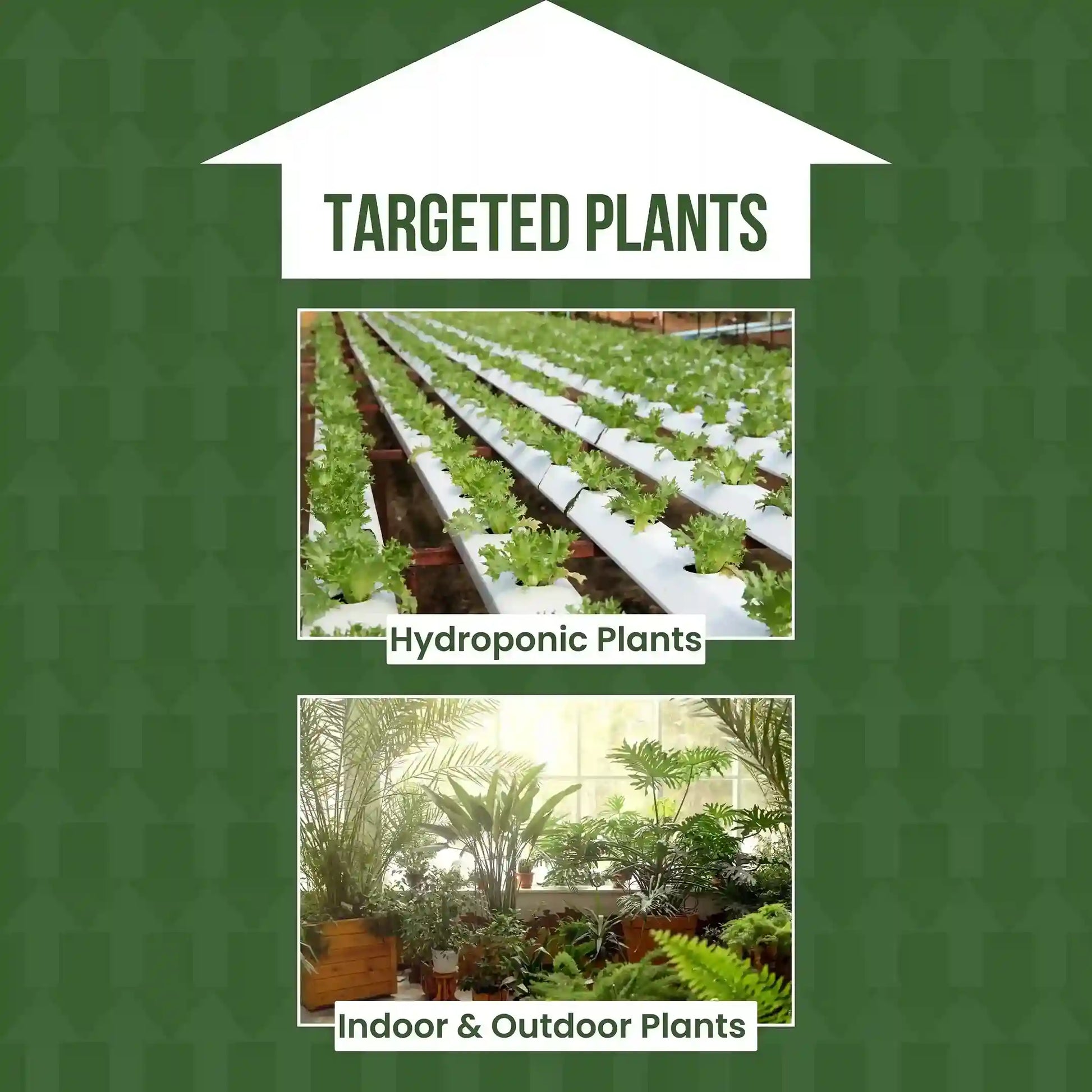 Two images of plants, one labeled 'Hydroponic Plants' and the other 'Indoor & Outdoor Plants', on a green background with 'TARGETED PLANTS' text.
