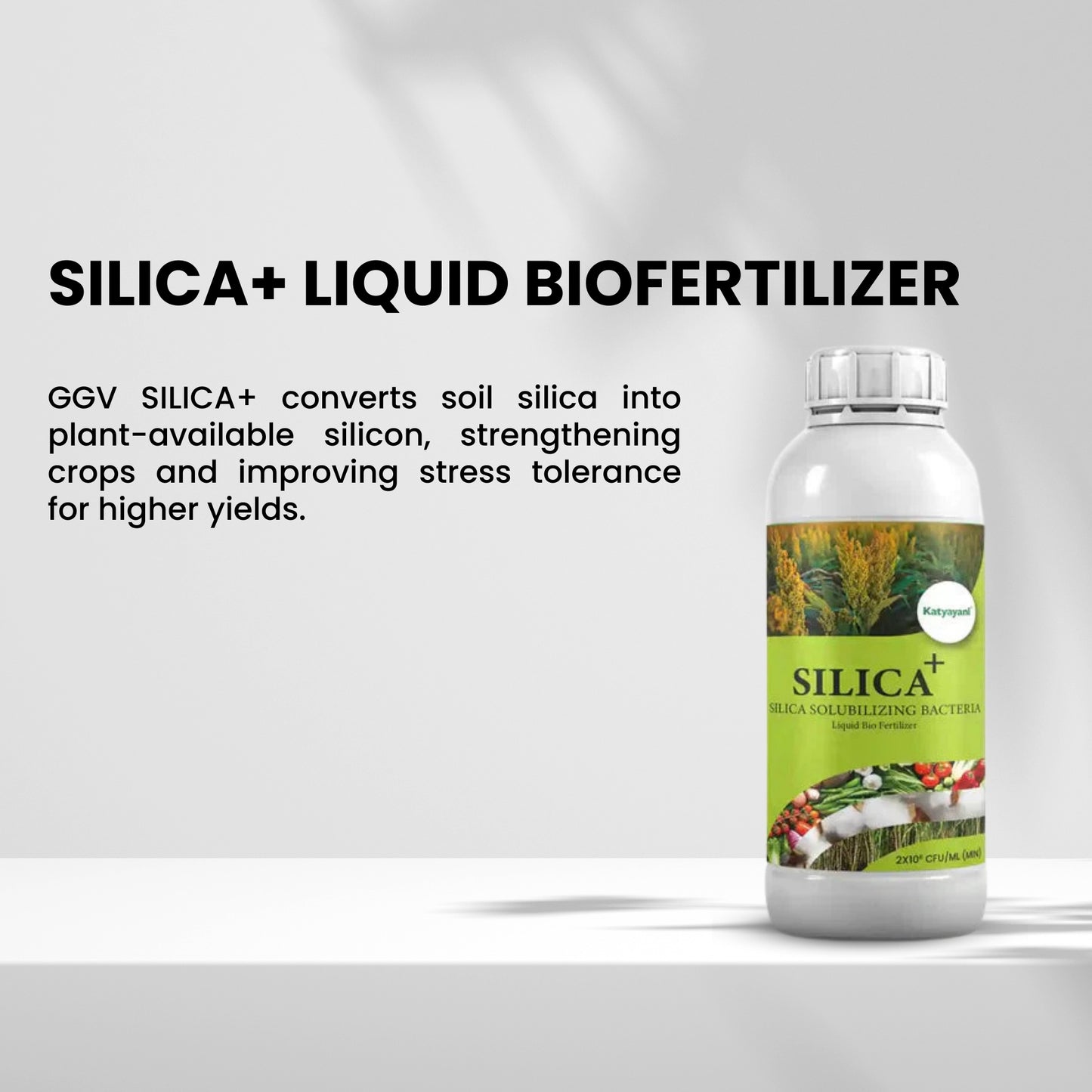 GGV Bacsil Triple Boost – Buy 1, Get 2 Free | Silica Solubilizing Bio Bacteria for Stronger Crops