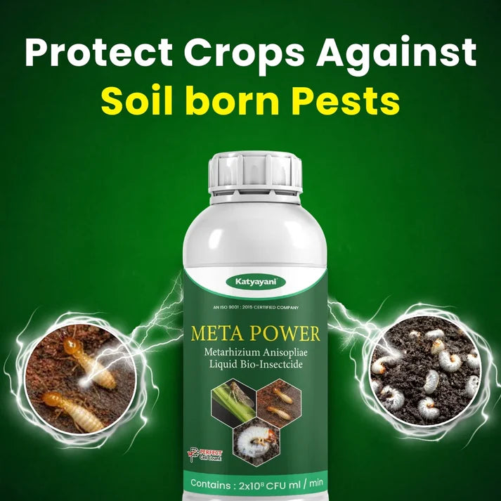 GGV Meta Power | Metarhizium Anisopliae | Liquid Bio Insecticide