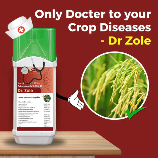 GGV Dr. Zole | Azoxystrobin 11% + Tebuconazole 18.3% SC | Systemic Fungicide for Powdery Mildew, Blight & Rust
