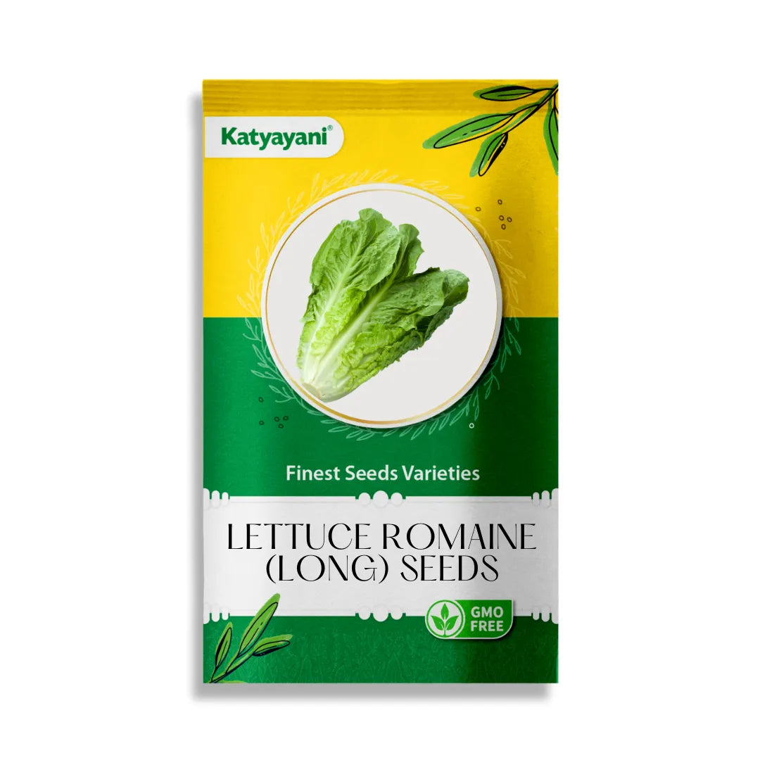 GGV Lettuce Romaine (long) Vegetable Seeds