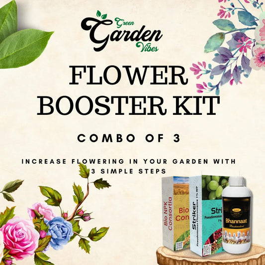 GGV Flowering boooster kit (Bhannat)250 ML,(Bio NPK Consortiaa) 1 KG,(pseudomonas)1 KG