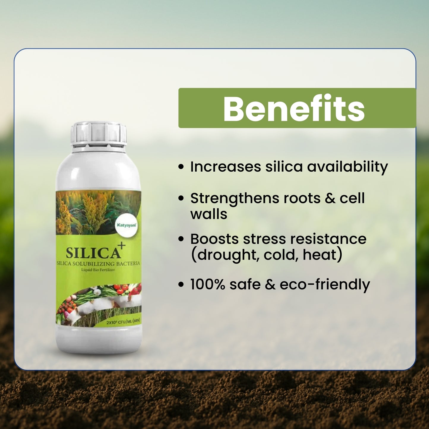 GGV Bacsil Triple Boost – Buy 1, Get 2 Free | Silica Solubilizing Bio Bacteria for Stronger Crops