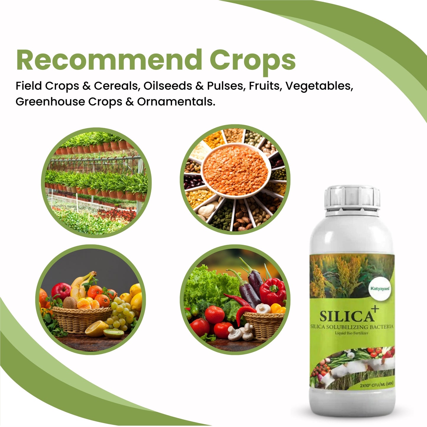 GGV Bacsil Triple Boost – Buy 1, Get 2 Free | Silica Solubilizing Bio Bacteria for Stronger Crops