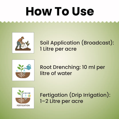 GGV Bacsil Triple Boost – Buy 1, Get 2 Free | Silica Solubilizing Bio Bacteria for Stronger Crops