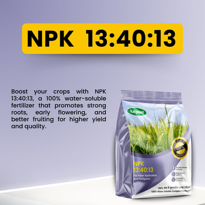 GGV NPK 13 40 13
