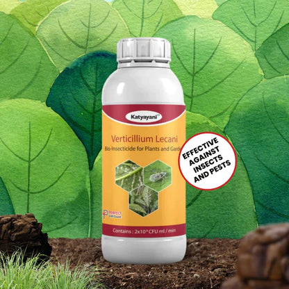 GGV Verticillium lecanii Bio pesticide