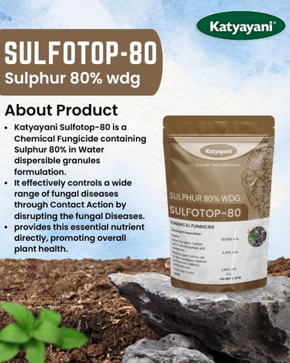 GGV Katyayani Sulfotop 80 Super Saver Pack – Buy 1, Get 2 Free | Sulphur 80% WDG for Fungus & Mite Control