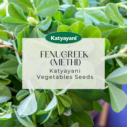 GGV Fenugreek (Methi) Microgreen Seeds