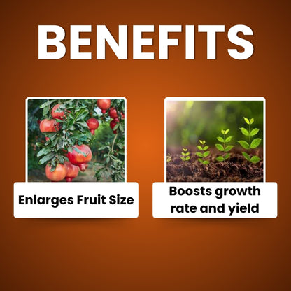 GGV Nutritious Triple Growth Pack – Buy 1, Get 2 Free | Triacontanol 0.01% EW Plant Growth Regulator