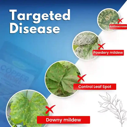 Katyayani Copper Sulphate Fungicide – Broad-Spectrum Disease Control & Essential Copper Nutrition for Plants