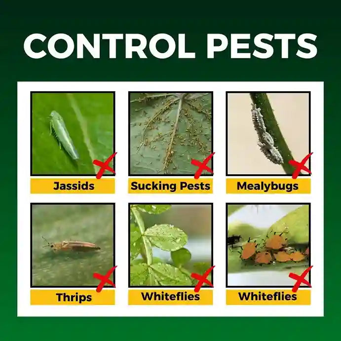 Katyayani Sarvashakti Insecticide | Control Insect of All Vegetable Crops