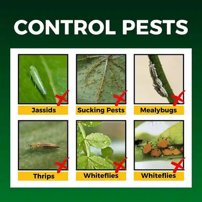Katyayani Sarvashakti Insecticide | Control Insect of All Vegetable Crops