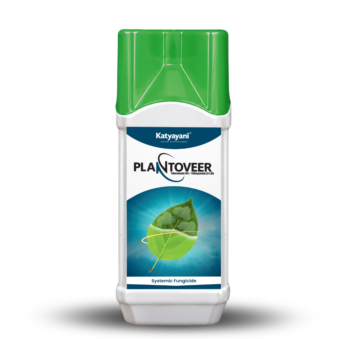 GGV  – Plantoveer (Tebuconazole 50% + Trifloxystrobin 25% WG)