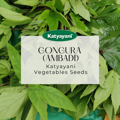 GGV Gongura  (Ambadi) Vegetable Seeds