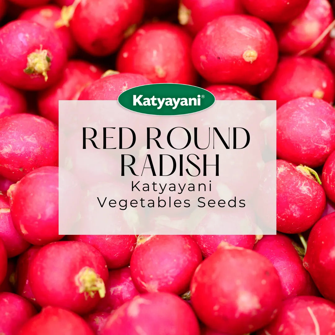 GGV Red Round Radish Vegetable Seeds