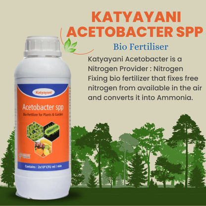 GGV Acetobacter Bio Fertilizer Katyayani Acetobacter – The Natural Nitrogen Provider