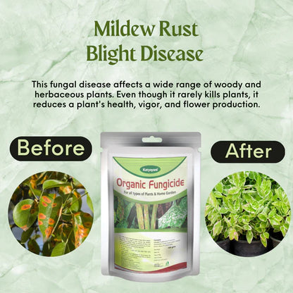 GGV All In 1 Organic Fungicide for Plants – Broad-Spectrum Disease Control | Rust, Blight, Mildew & Rot Solution | UAE Delivery