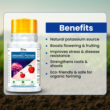 GGV Organic Potash Fertilizer