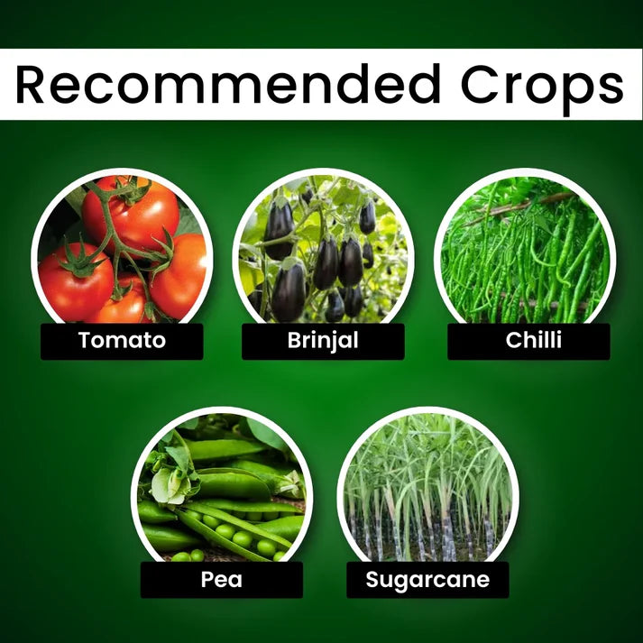 GGV Meta Power | Metarhizium Anisopliae | Liquid Bio Insecticide