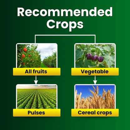 GGV TRIPLE ATTACK POWDER | VERTICILLIUM LECANII + BEAUVERIA BASSIANA + METARHIZIUM ANISOPLIAE | BIO PESTICIDE