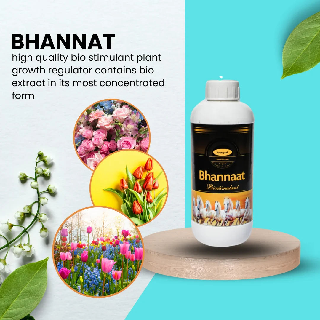 GGV Flowering boooster kit (Bhannat)250 ML,(Bio NPK Consortiaa) 1 KG,(pseudomonas)1 KG