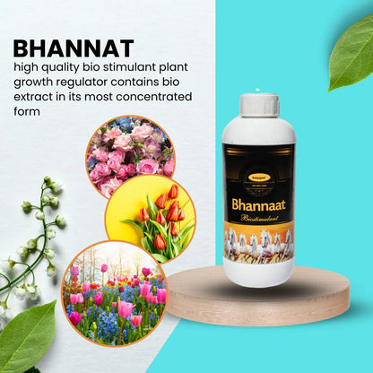 GGV Flowering boooster kit (Bhannat)250 ML,(Bio NPK Consortiaa) 1 KG,(pseudomonas)1 KG