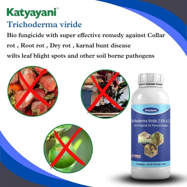 GGV Katyayani Trichoderma Viride – Advanced Liquid Bio Fungicide for Soil-Borne Disease Control & Organic Farming  Buy 1 Get 2 FREE