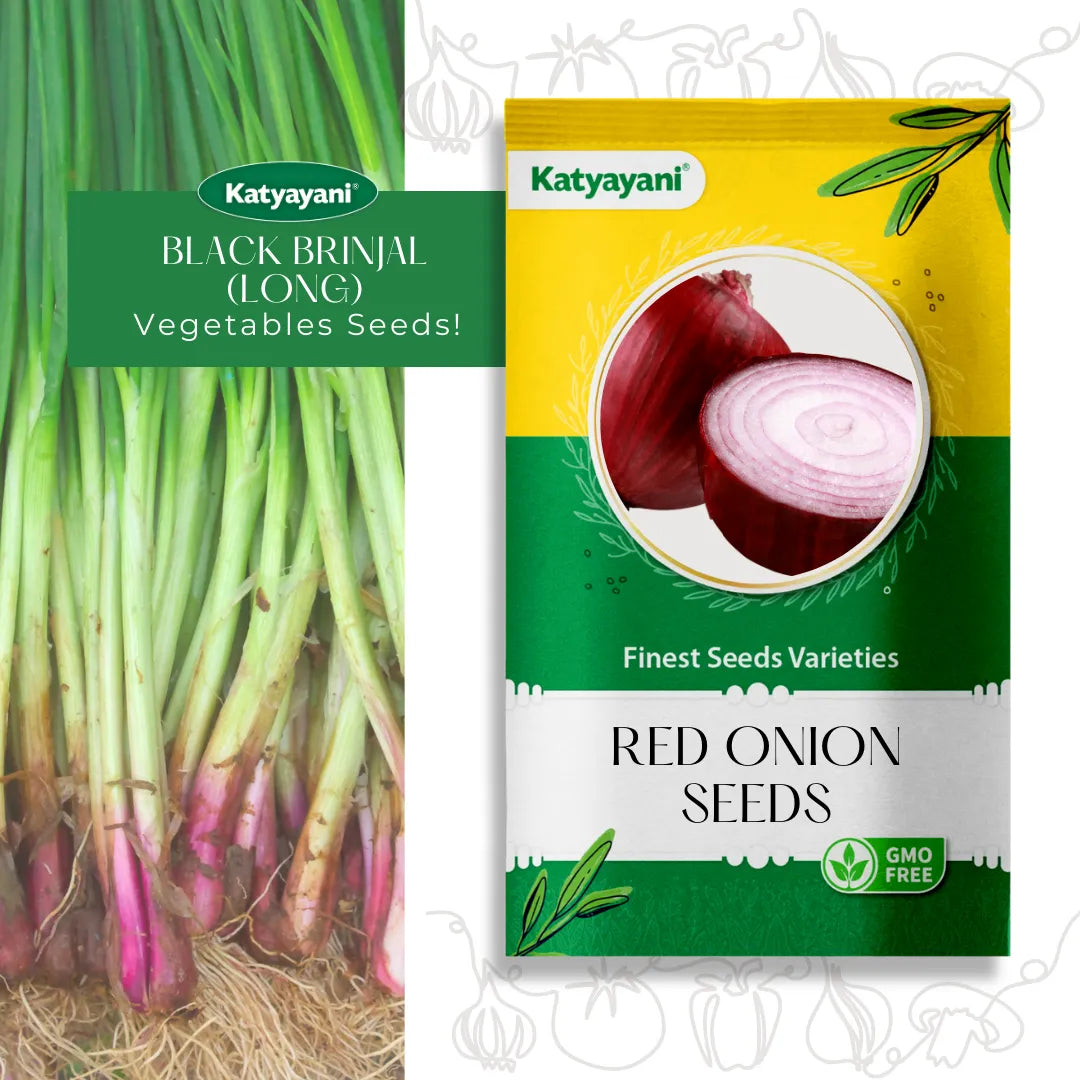 GGV Red Onion Vegetable Seeds