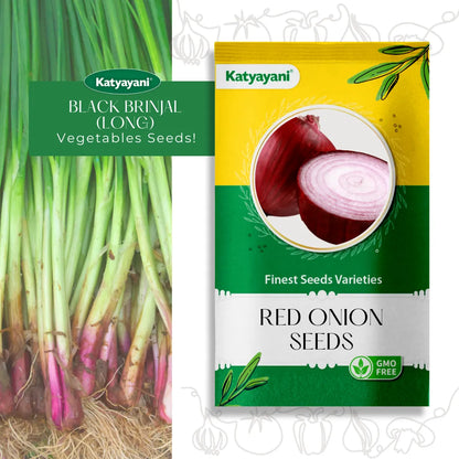 GGV Red Onion Vegetable Seeds