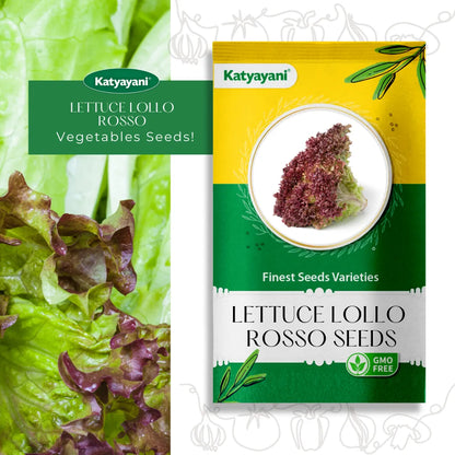 GGV Lettuce Lollo Rosso Vegetable Seeds