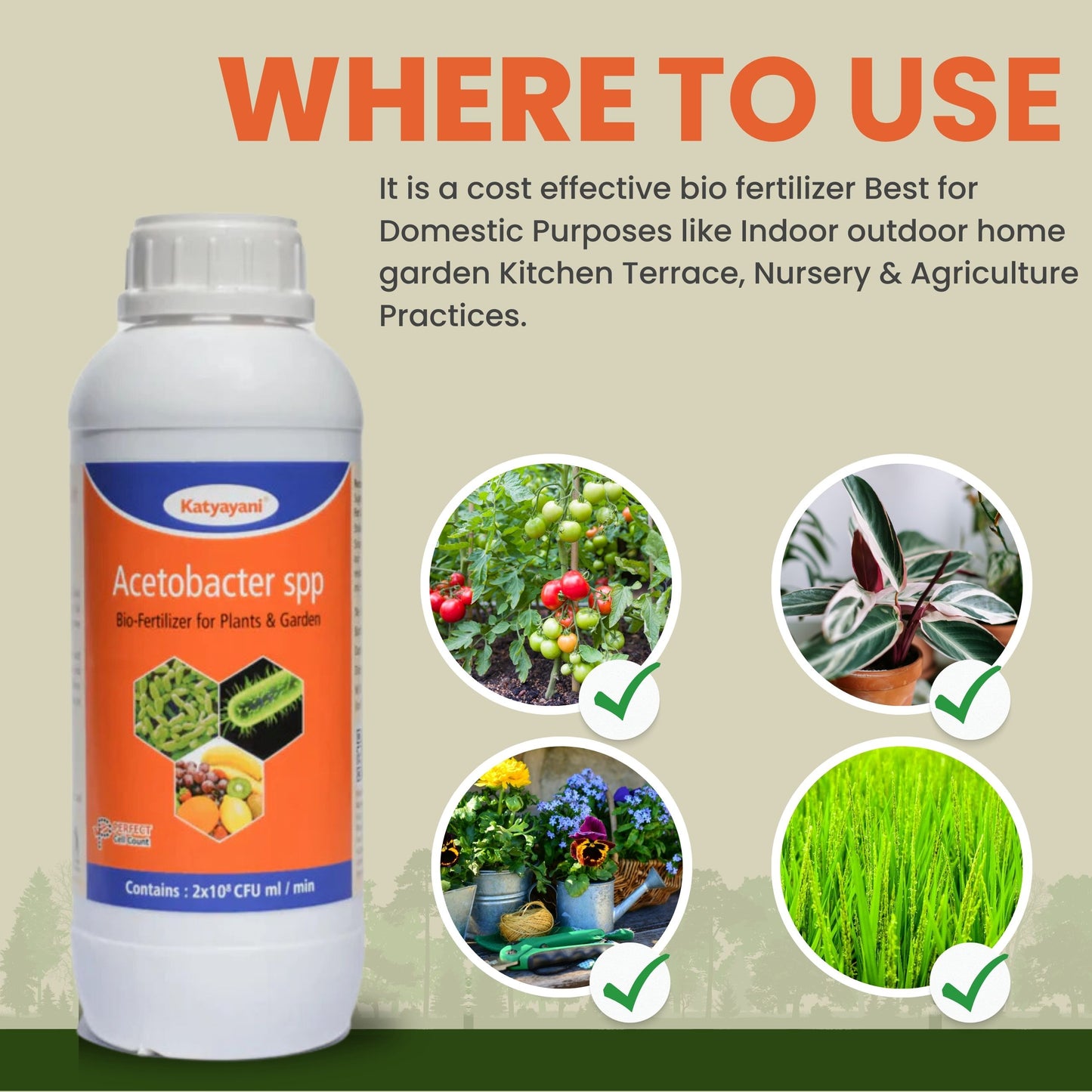 GGV Acetobacter Bio Fertilizer Katyayani Acetobacter – The Natural Nitrogen Provider