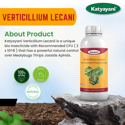 GGV Verticillium lecanii Bio pesticide