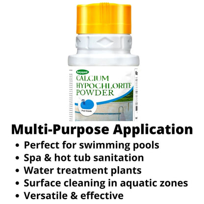 GGV Calcium Hypochlorite Powder 453gm (16oz)-Pool Grade