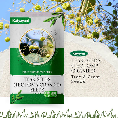 GGV Teak  (Tectoma Grandis) 100 g Tree and Grass seeds