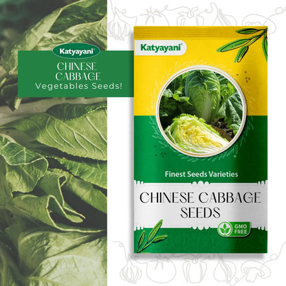 GGV Chinese Cabbage Vegetable Seeds