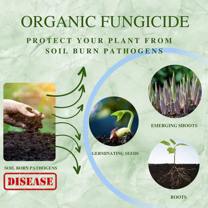 GGV All In 1 Organic Fungicide for Plants – Broad-Spectrum Disease Control | Rust, Blight, Mildew & Rot Solution | UAE Delivery