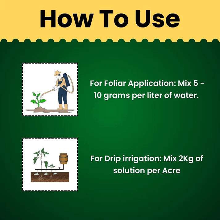 GGV TRIPLE ATTACK POWDER | VERTICILLIUM LECANII + BEAUVERIA BASSIANA + METARHIZIUM ANISOPLIAE | BIO PESTICIDE