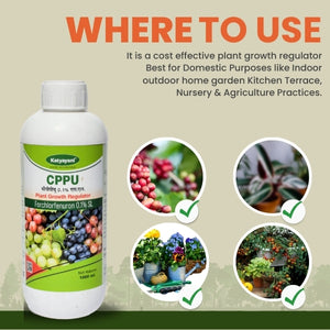 GGV CPPU Triple Yield Pack – Buy 1, Get 2 Free | Forchlorfenuron 0.1% for Bigger & Better Fruits