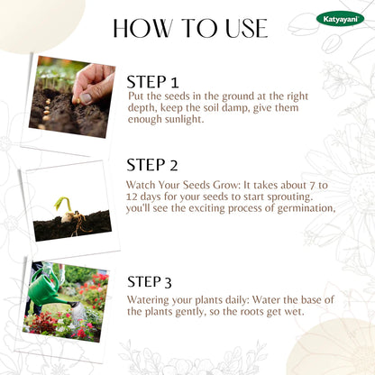 GGV Tulsi (Holy Basil) Herb seeds